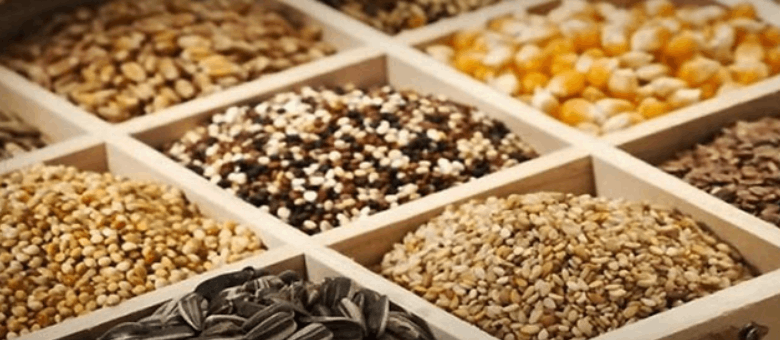 Produtos Naturais
